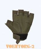 �������� �� �������� �������� | ���� olive